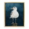 Stupell Industries Perched Coastal Bird Framed Floater Canvas Wall Art Design by Grace Popp